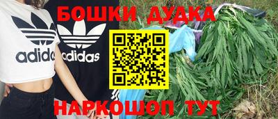 мяу мяу мука Лесосибирск
