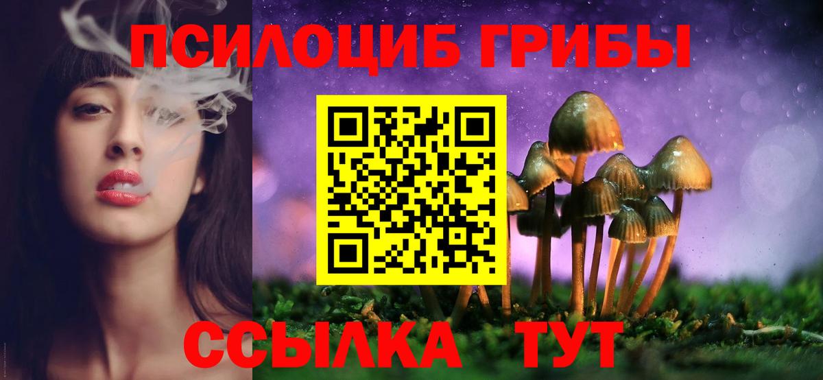 Псилоцибиновые грибы Psilocybe Иваново