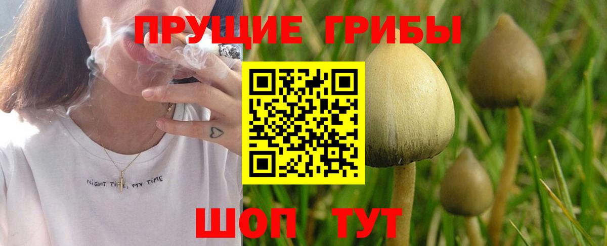 Иваново  Галлюциногенные грибы ЛСД  Галлюциногенные грибы MAGIC MUSHROOMS  Вход с VPN 