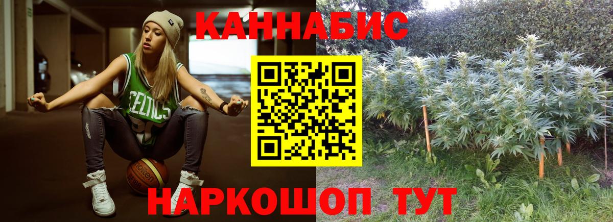 Бошки Шишки марихуана Иваново